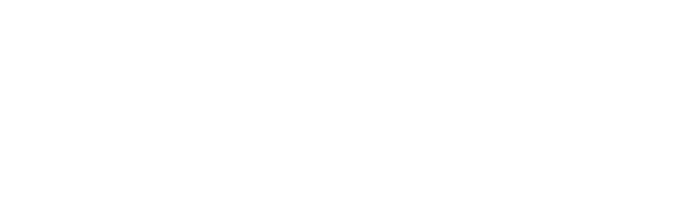 VIPetPlan_BySnout-white